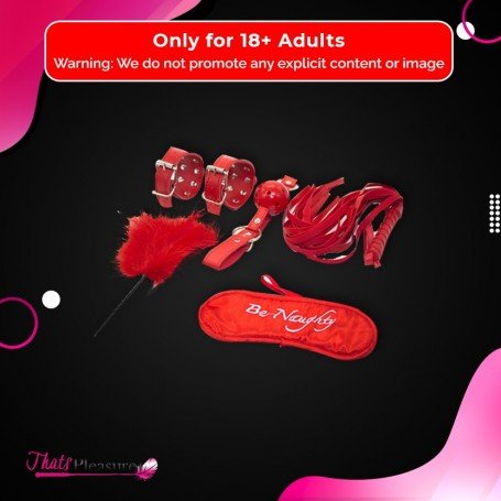 BDSM SEX KIT Bracelet+Whip+Goggles+Feather+Mouth Ball Gag BDSM-001
